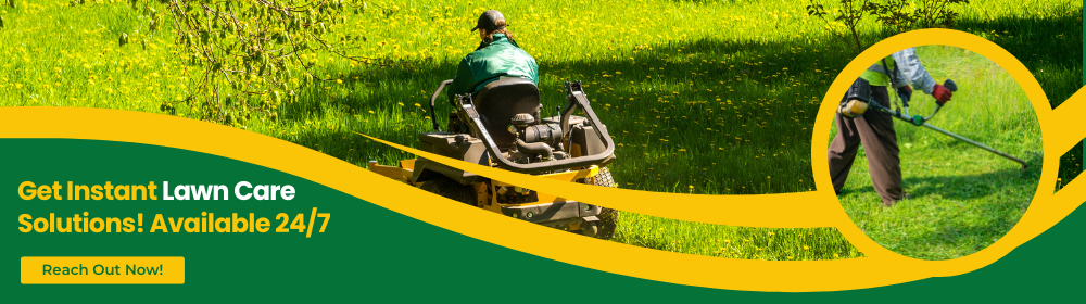 Emergency Lawn Care Services: 24/7 Support
