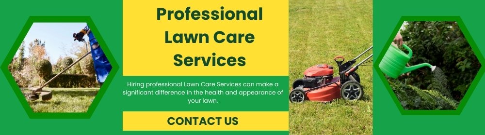 lawn maintenance service