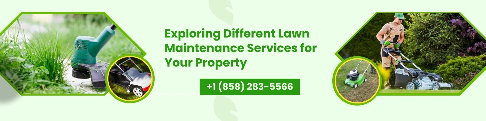 lawn fertilization services